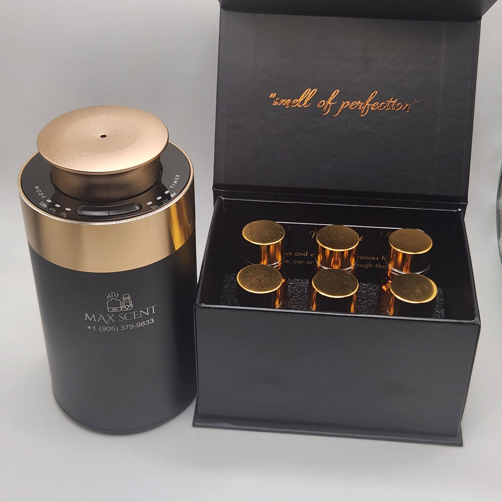 6 Oil Fragrances + Mini Pro - Car Scent Diffuser