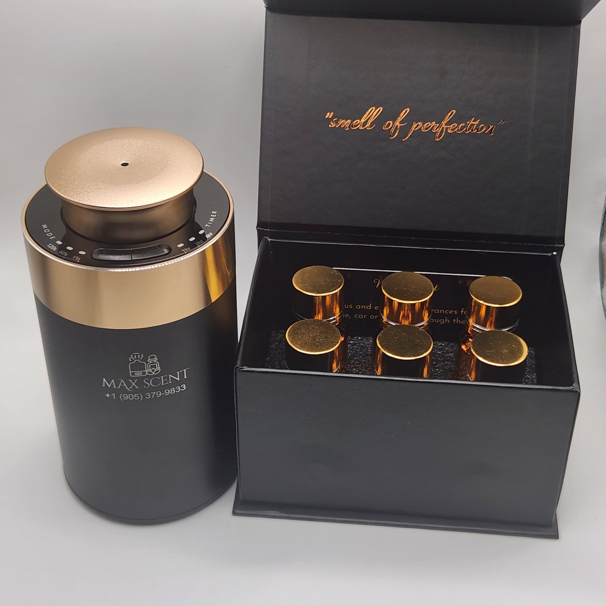 6 Oil Fragrances + Mini Pro - Car Scent Diffuser