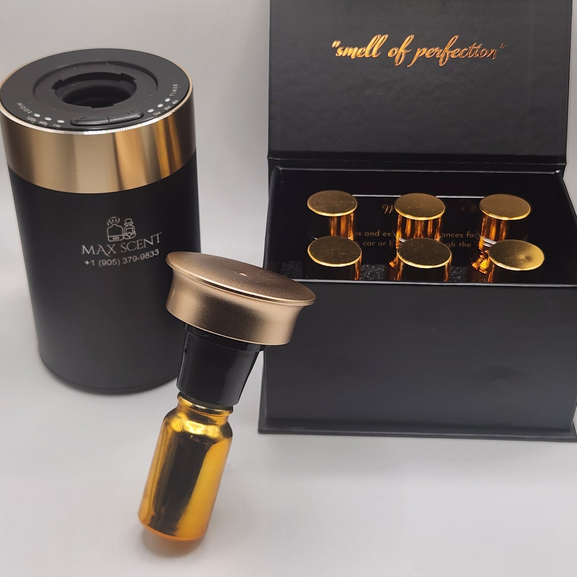6 Oil Fragrances + Mini Pro - Car Scent Diffuser